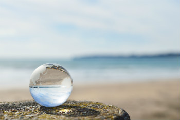 Clarity-Horses-Luxury-Lifestyle