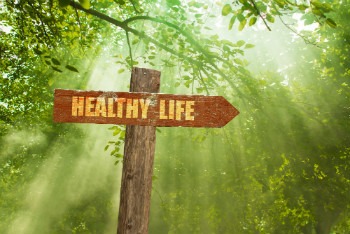 Clean Food-Healthy Life-Horses-Lifestyle